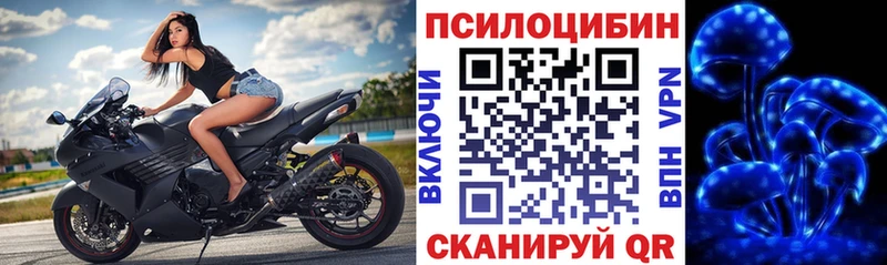 Галлюциногенные грибы Cubensis  мега ССЫЛКА  Называевск 